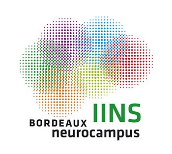 Interdisciplinary Institute for Neurosciences (IINS)