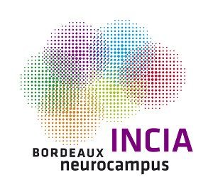 Institute for Cognitive & Integrative Neuroscience Aquitaine